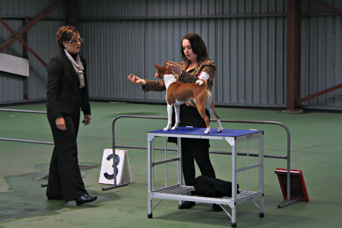 Olivia showing Ochre