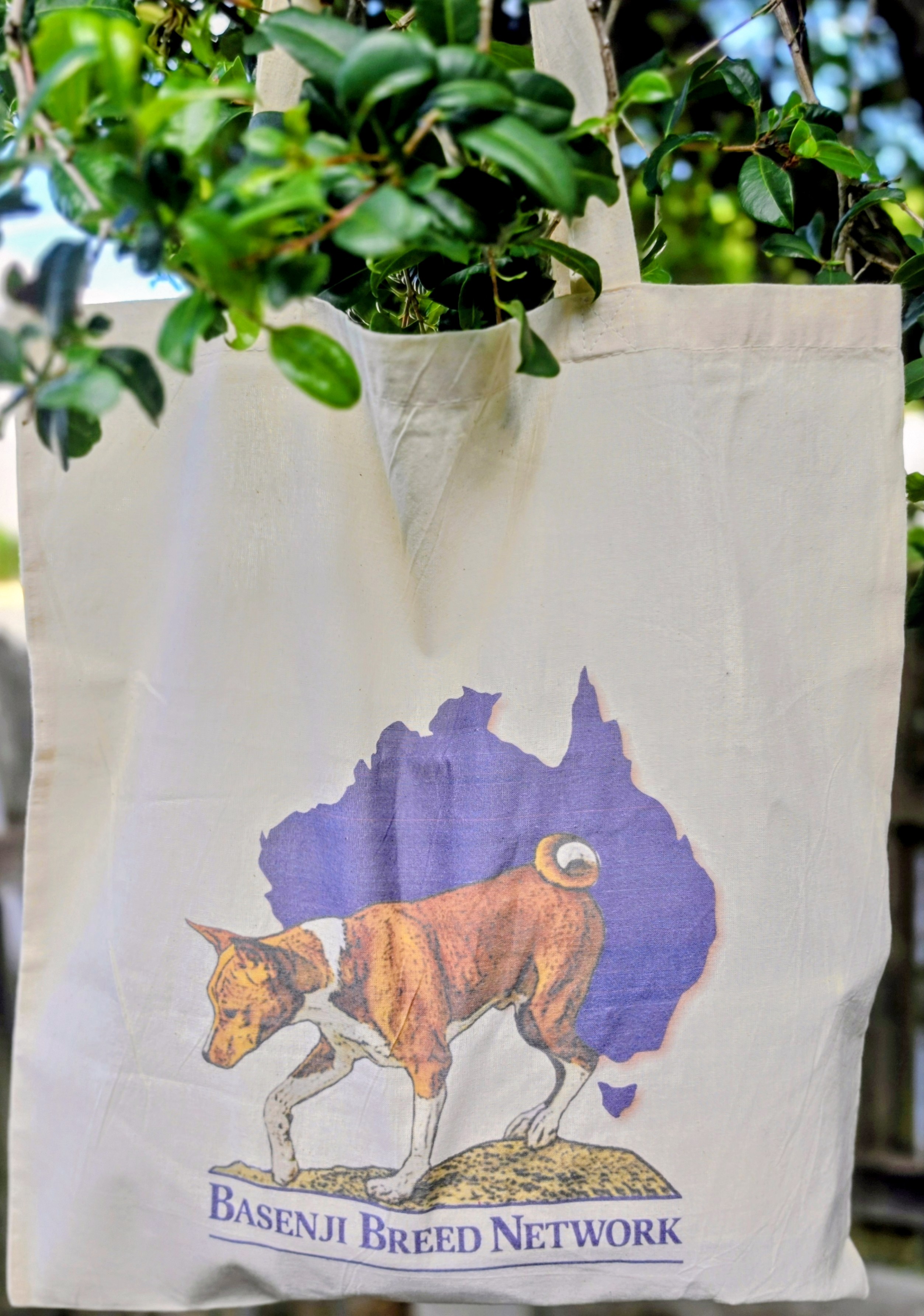 Tote